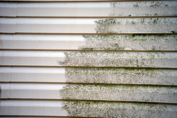 Siding Removal and Disposal in Emmonak, AK